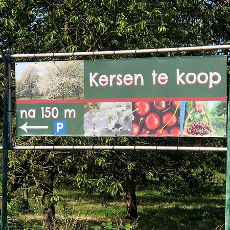Gastenverblijf Op De Prins Hendrik Hoeve In Buren Buren  Exteriér fotografie