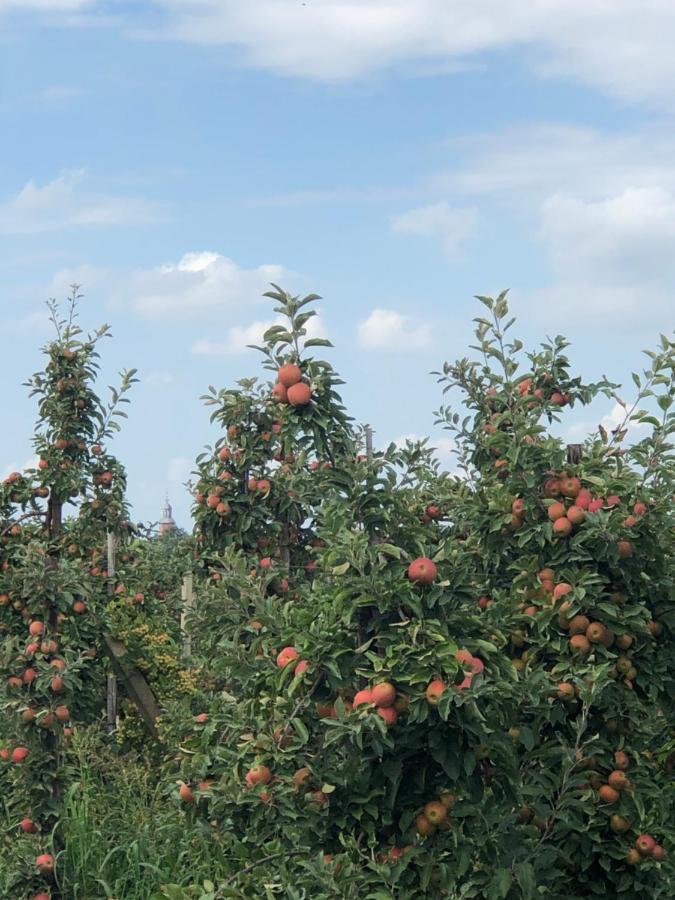 Gastenverblijf Op De Prins Hendrik Hoeve In Buren Buren  Exteriér fotografie